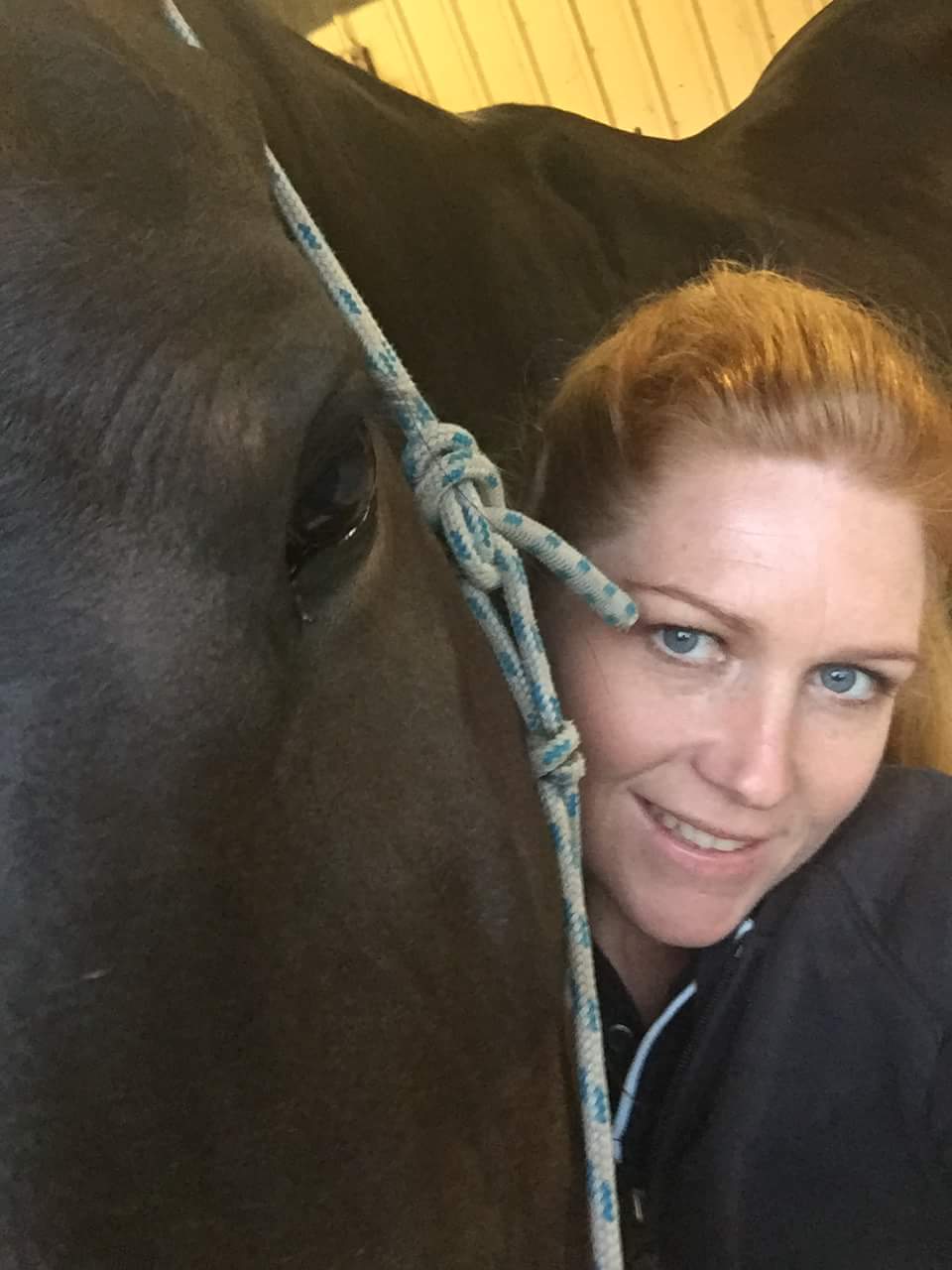 0265: Renee Holzinger - Teaching Riders With Disabilities To Connect With Their Horse, Become More Coordinated and Improve Results at School cover art