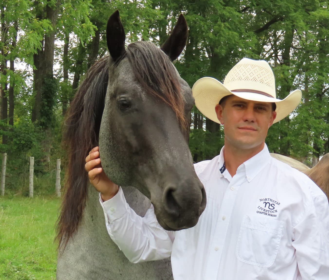 0778: Jason & Bronwyn Irwin 2 - Starting Young Horses Using a Solid Foundation cover art