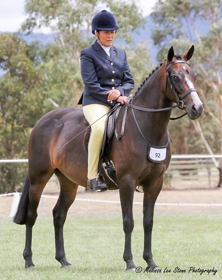 0213: Tania Hay - Every Person is Entitled To Quality Coaching, Regardless Of The Horse They Are Riding Or Their Current Ability cover art