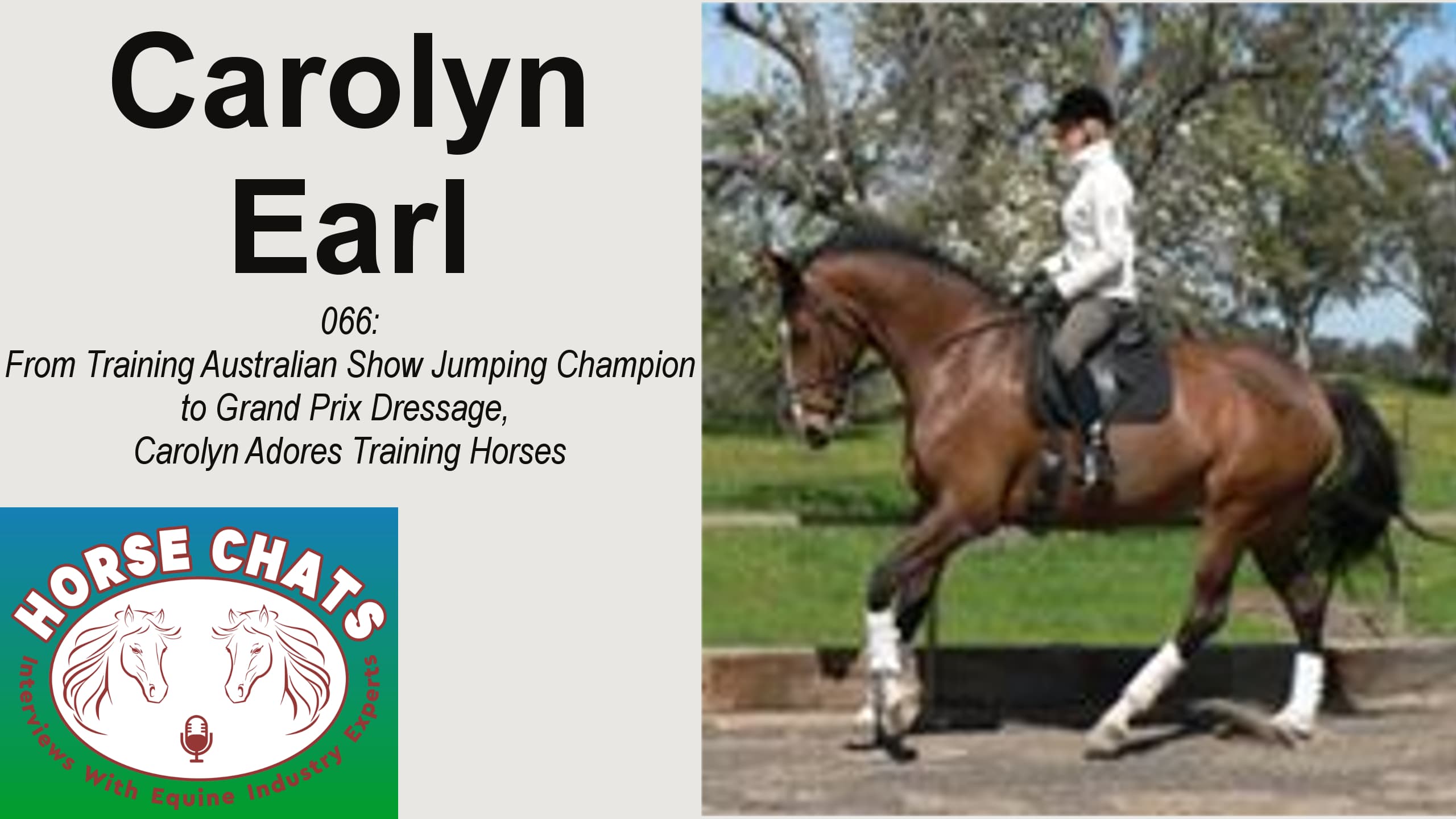 0066: Carolyn Earl - From Training Australian Show Jumping Champion to Grand Prix Dressage, Carolyn Adores Training Horses cover art