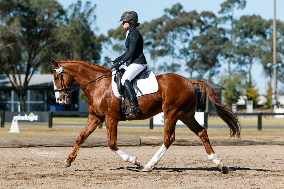 0527: Heidi Hewitson LC - When Things Are Not Going Well With Your Horse, Stop, Think, Then Start Again (Listeners' Choice) cover art