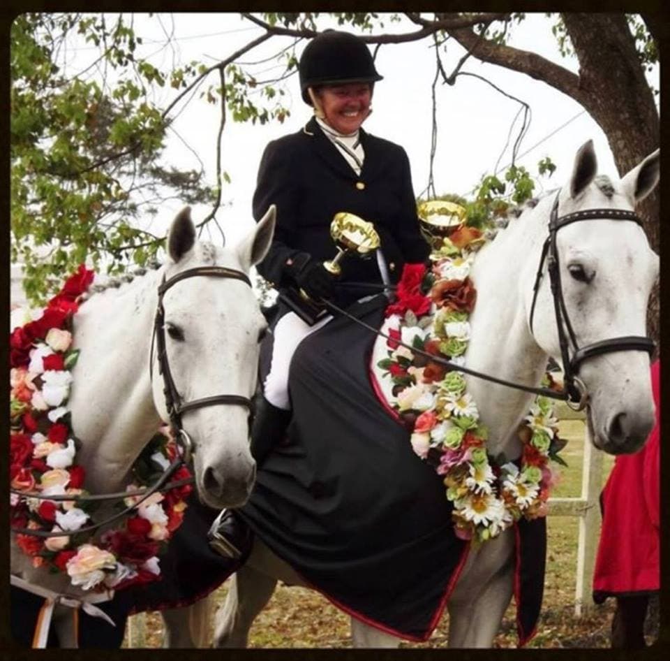 0395: Jenny Holloway - Teaching Standardbred Horses To Be Versatile Competitors cover art