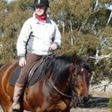 0256: Jill Buckfield - Equestrian Coach and Psychologist Acutely Aware of The Importance of Riders' Mental Attitude cover art