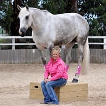 0474: Sandi Simons 2 - "Ten Strategies to Choose the Right Horse" cover art
