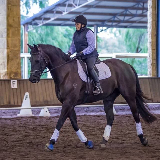 0267: Dinah Fleming LC - Young/Green Horses Should Always be Ridden by an Experienced Rider cover art