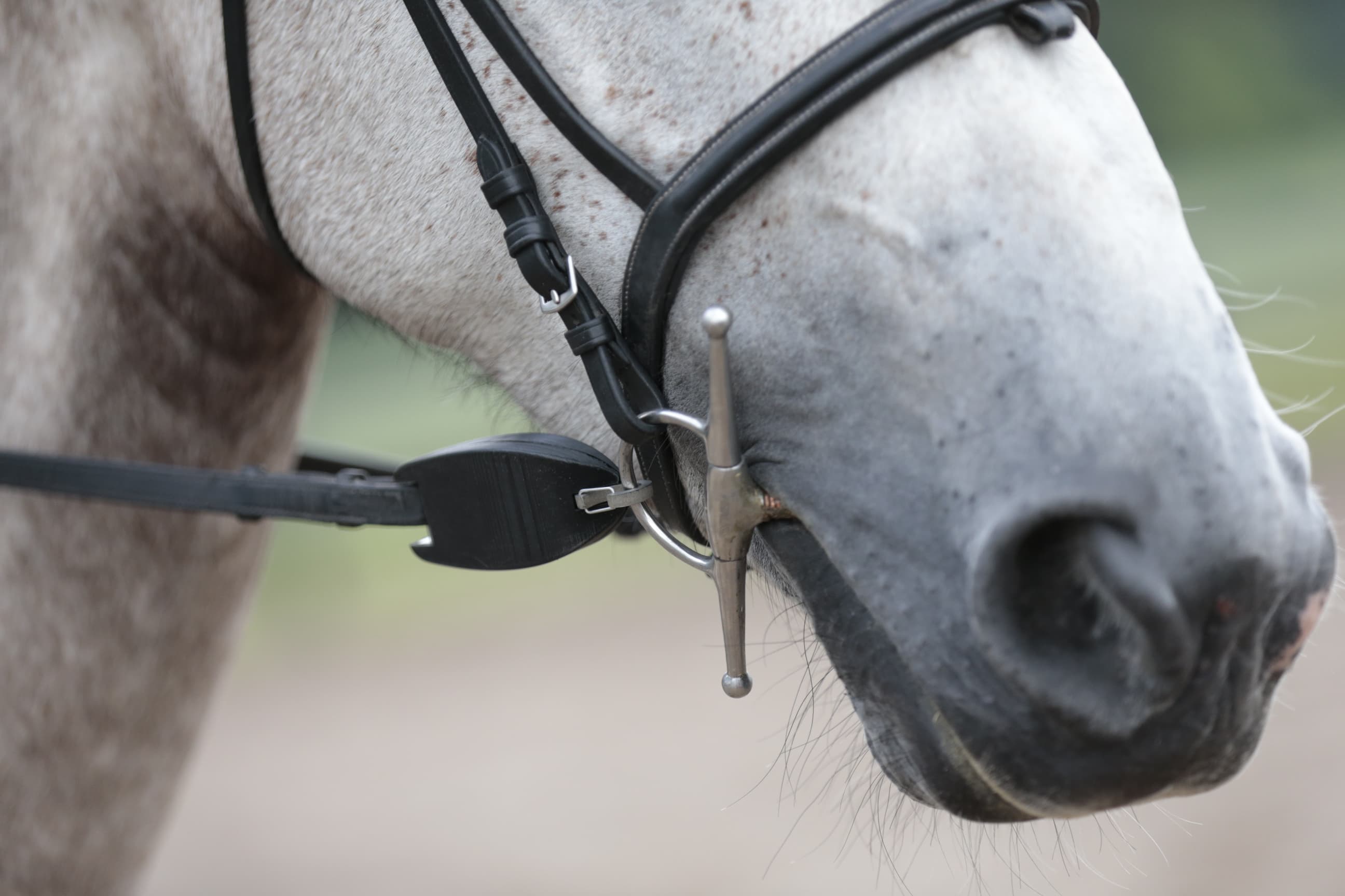 0628: Menke Steenbergen - To Achieve Big Dreams, You Must Take Lots Of Little Steps cover art