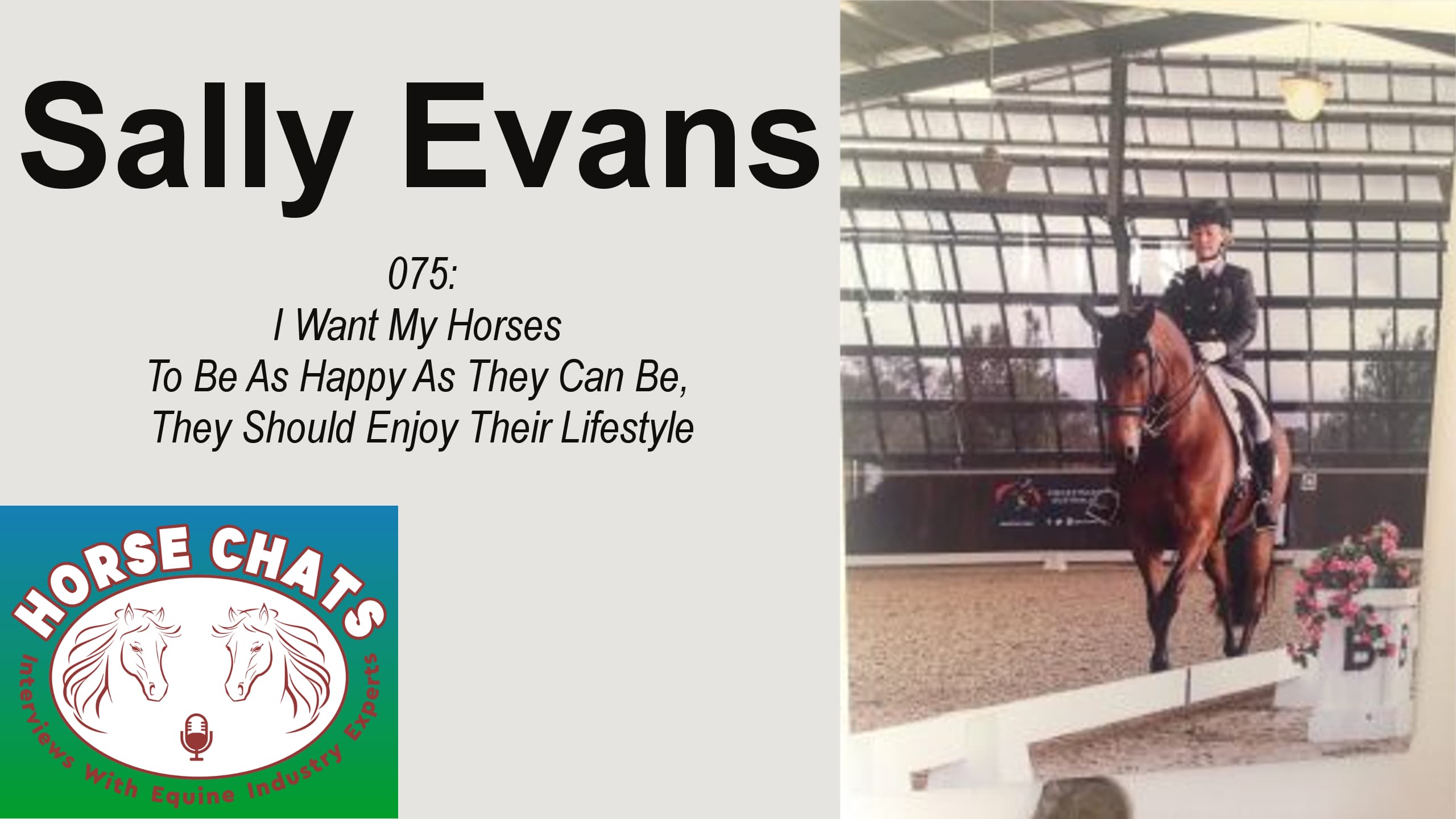 0075: Sally Evans - I Want My Horses To Be As Happy As They Can Be, They Should Enjoy Their Lifestyle cover art