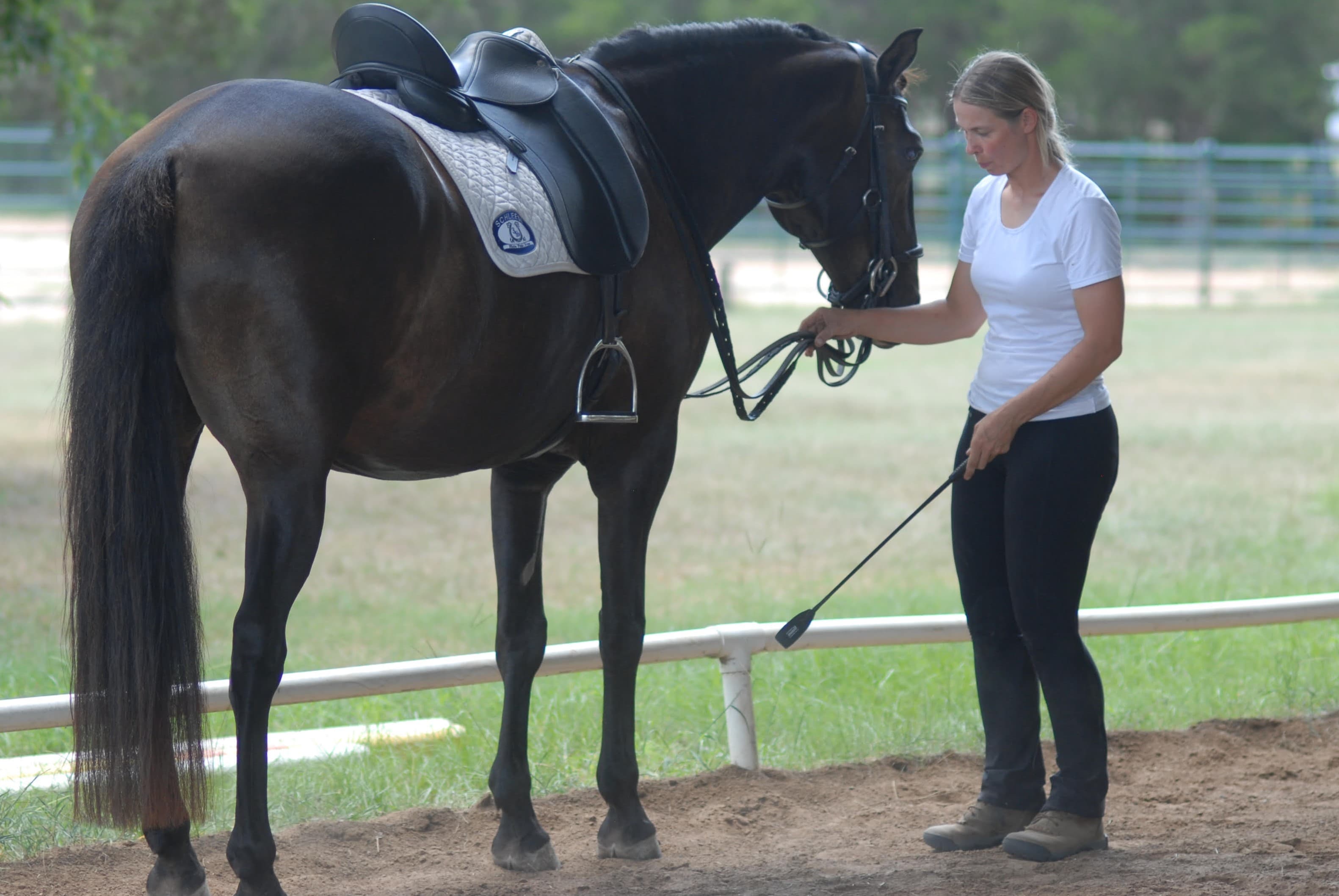 0795: Jillian Kreinbring - Jillian Kreinbring And The Significance Of Functional Anatomy When Training Horses cover art
