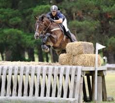 0302: John Twomey LC - Take Your Time, Listen to Your Horse It is more about the Journey than the Destination cover art