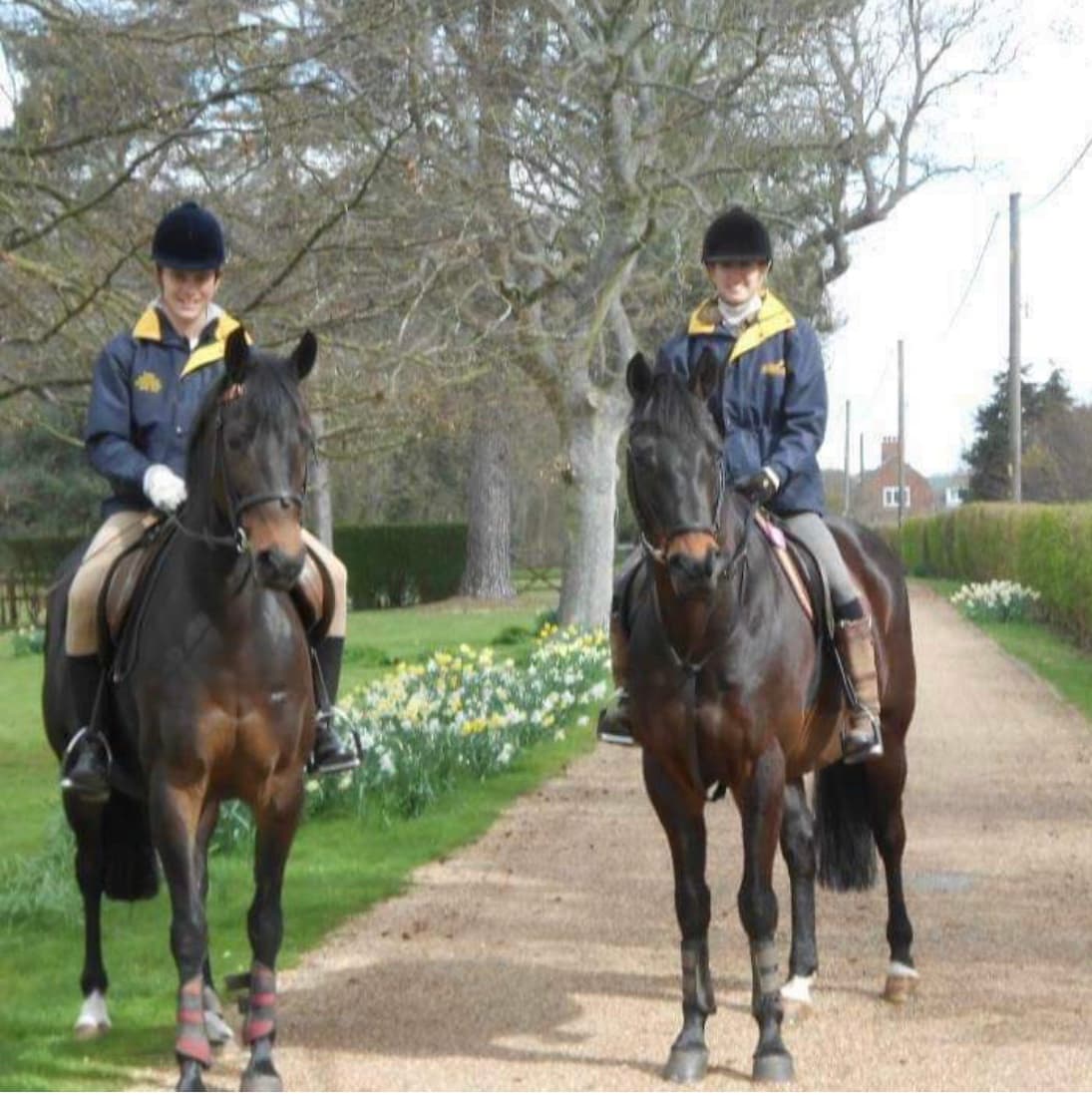 0416: Katie Kelly - FEI Pony Dressage Rider Teaching Children and Training Ponies cover art