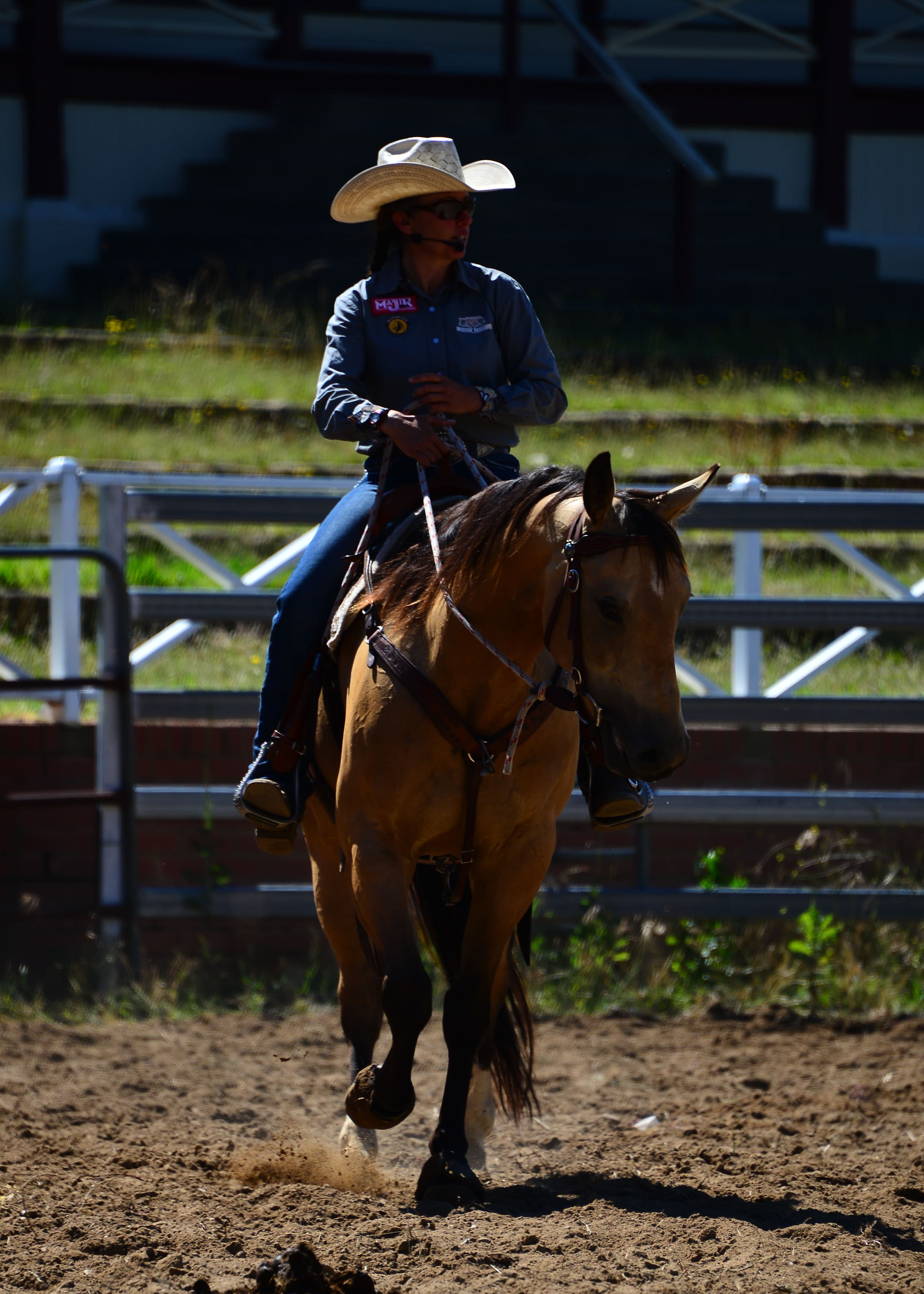 0297: Michelle O'Neill 2 - "Ten Tips to Find The Ideal Horse" cover art