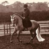 0605: Janice Usherwood LC - "Contact Is What The Horse Takes When The Rider Drives It Forward From The Hand - FEI Rule Book (Listeners' Choice)" cover art