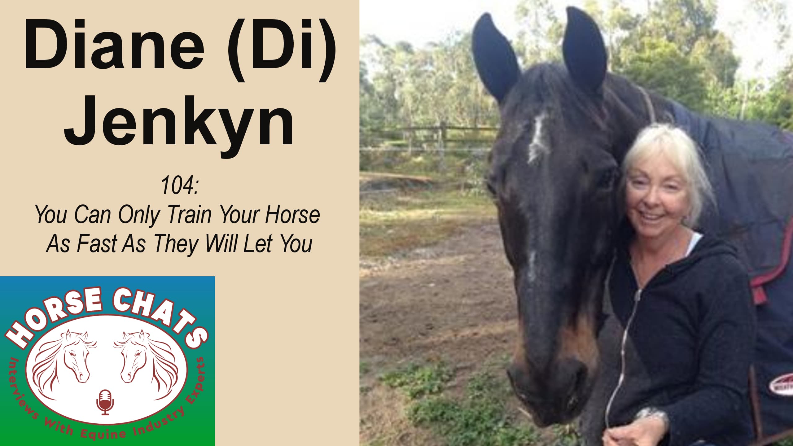 0104: Diane Jenkyn - You Can Only Train Your Horse As Fast As They Will Let You cover art