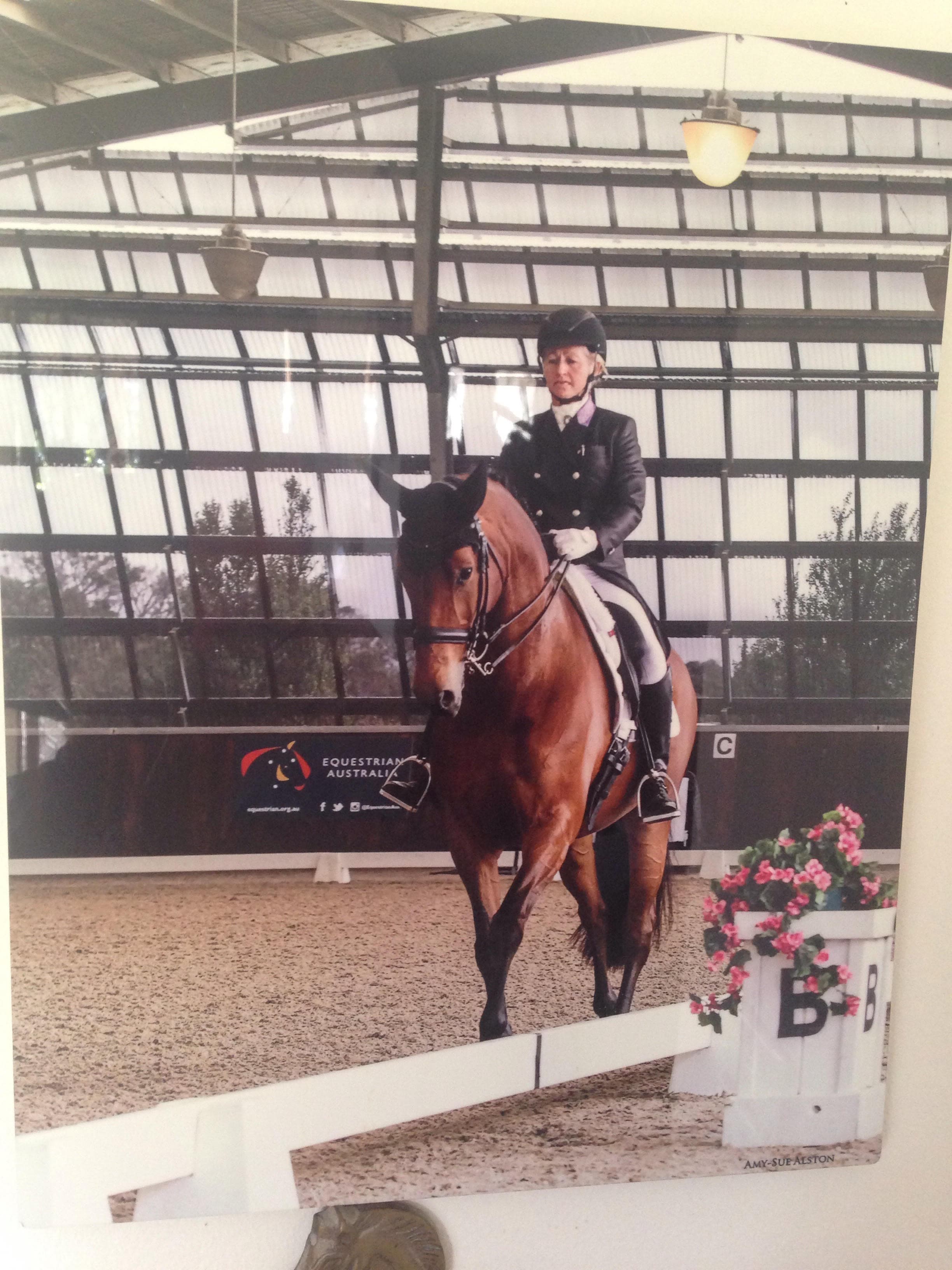 0260: Sally Evans LC - I Want My Horses To Be As Happy As They Can Be, They Should Enjoy Their Lifestyle cover art