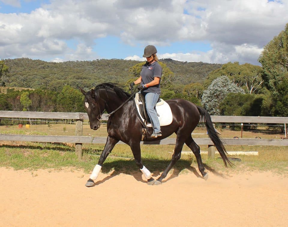 0438: Kate Fenner 2 - "Ten Steps To Bringing Your Horse Back to Work" cover art