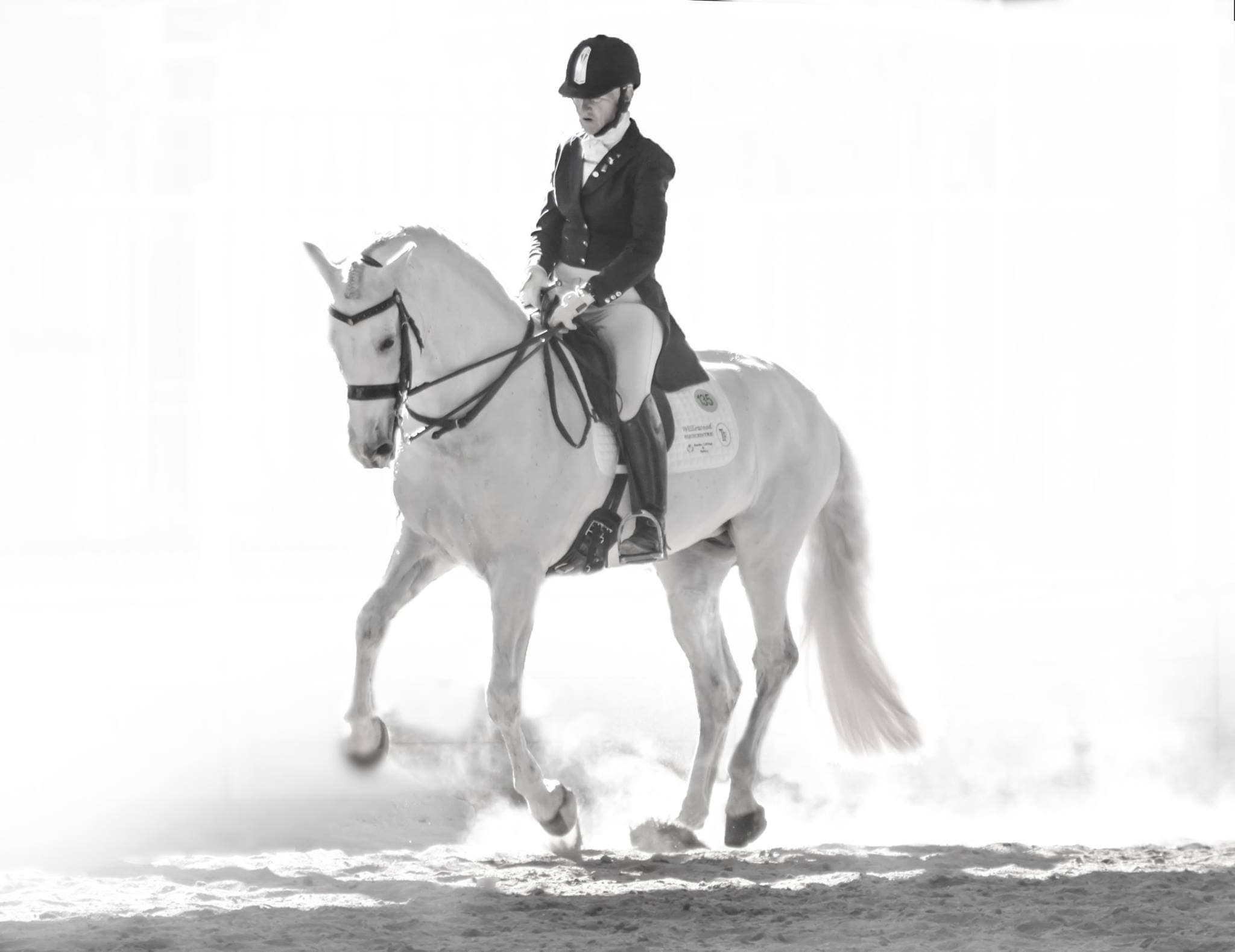 0271: Caroline Coleby 2 - "Ten Questions to Ask Before You Purchase a Horse" cover art