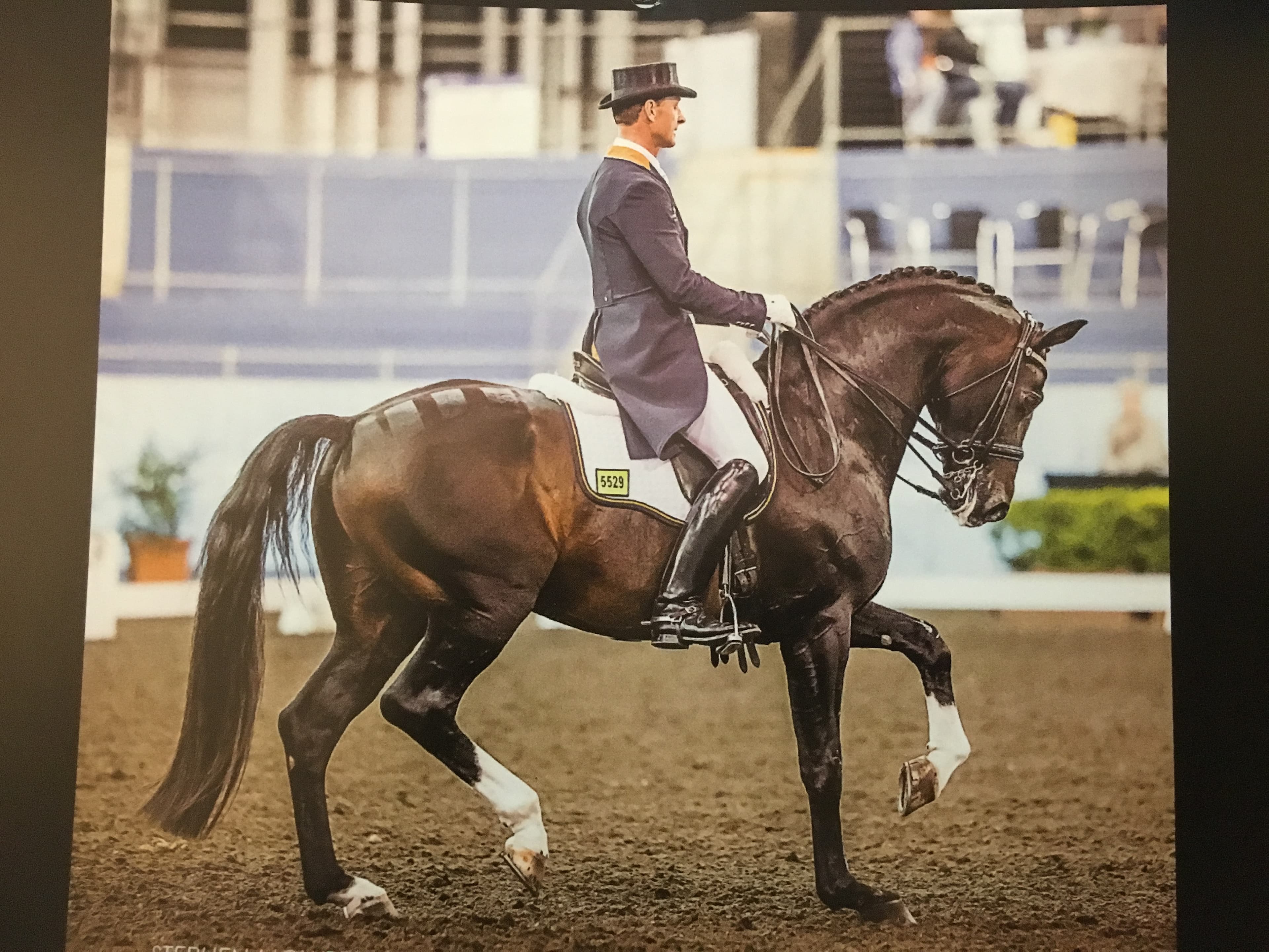 0253: Brett Parbery LC - Frame Control, Feet Control and Transition/ Pace Control for the Dressage Horse cover art
