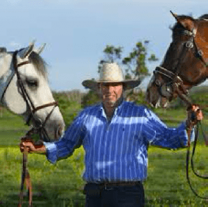 0191: David Finch LC - International Show Jumper, Now Breeding International Show Jumpers cover art