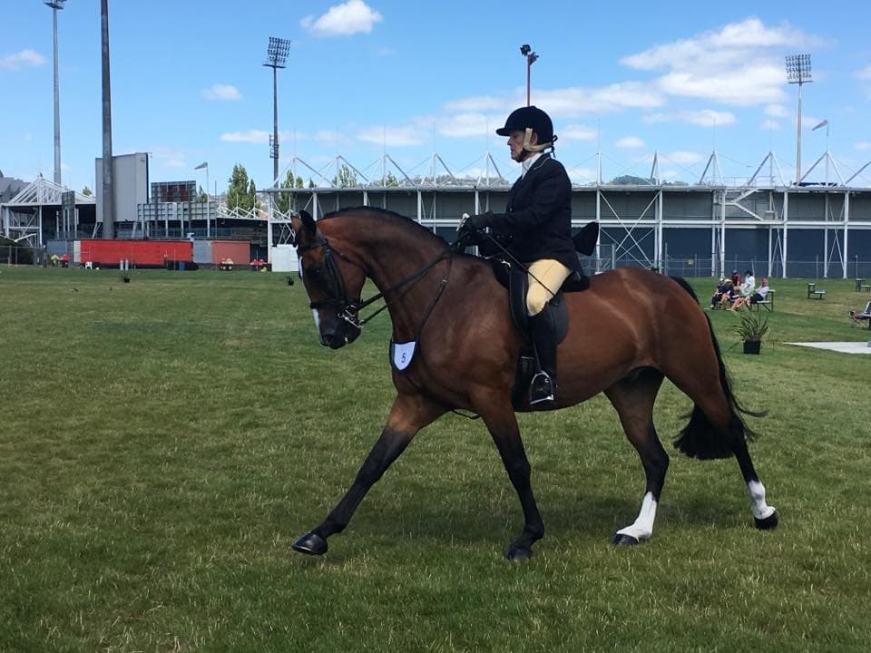 0187: Fiona Fehlberg - Everyday You Learn Something New Because Horses Are Your Teachers cover art