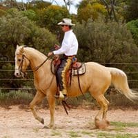 0415: Stephen Halfpenny LC - Challenging Traditional Thinking About Horse Training (Listeners' Choice) cover art