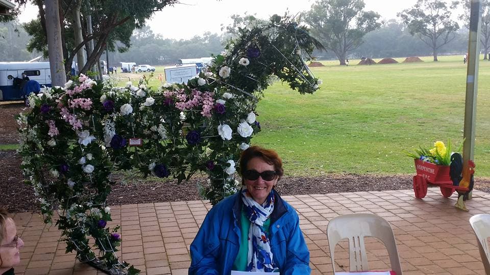 0230: Gail Simms - I Just Can't Imagine Not Being Able To See Horses Every Day cover art