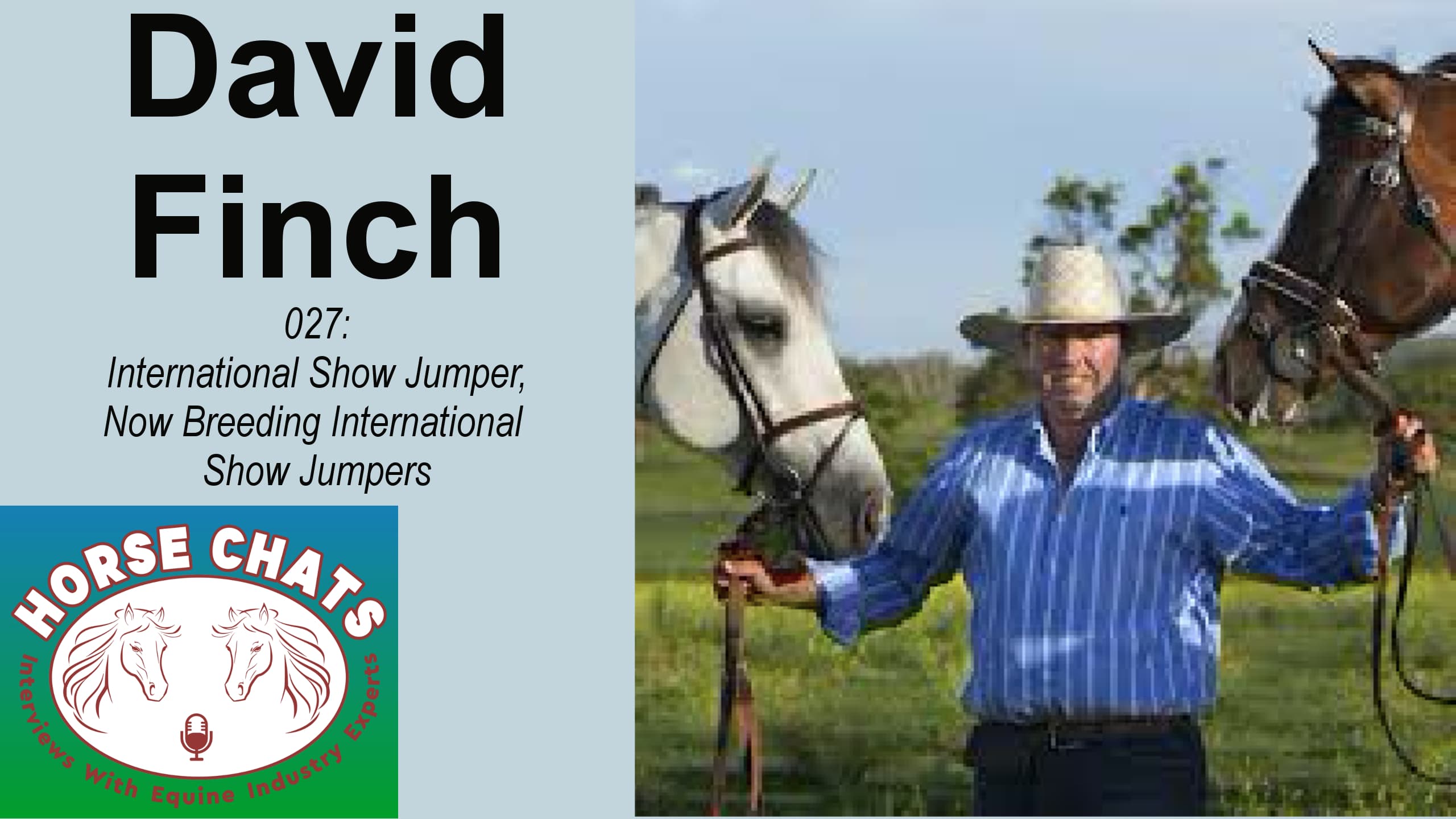 0027: David Finch - International Show Jumper, Now Breeding International Show Jumpers cover art
