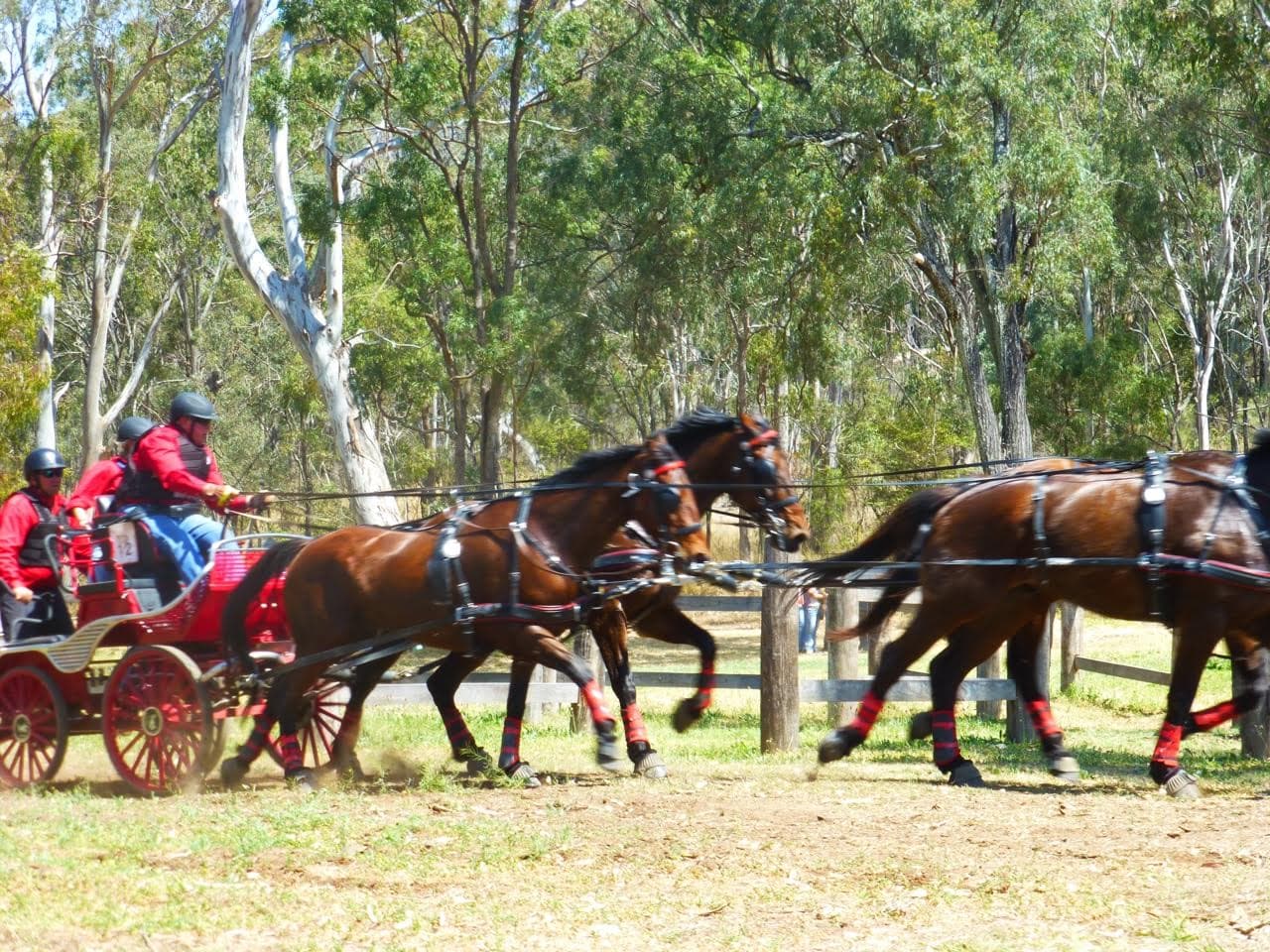 0232: Bob Edwards LC - Grabbing Opportunities with Both Hands to Compete at the World Equestrian Games cover art