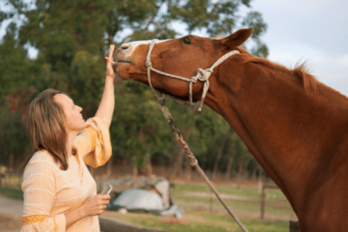 0860: Adele Edwards 2 LC - "Ten Points Which Will Help You and Your Equine Experience More Freedom" (Listeners' Choice) cover art