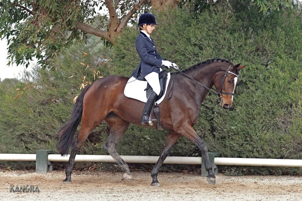 0738: Dr Kirrilly Thompson 2 - "Pony Club Australia Member Centres" cover art