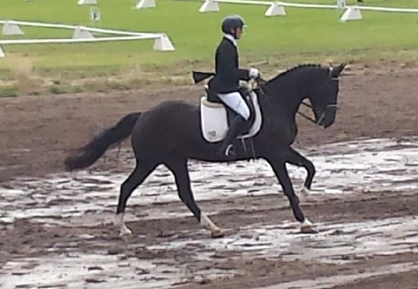 0181: Ann Behringer - Working With Horses Is A Good Lifestyle cover art