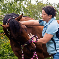 0325: Christine Thompson 2 - "Ten Tips To Improve Your Horses Musculoskeletal Health" cover art