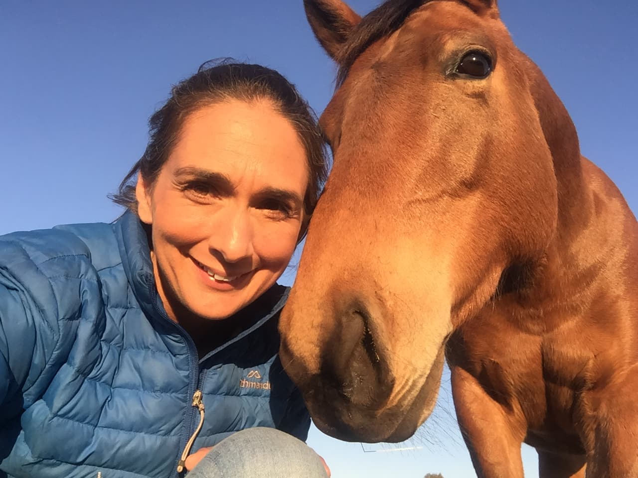 0887: Dr Nerida Richards 2 LC - "Top Ten Tips For Off The Track Thoroughbreds" (Listeners' Choice) cover art