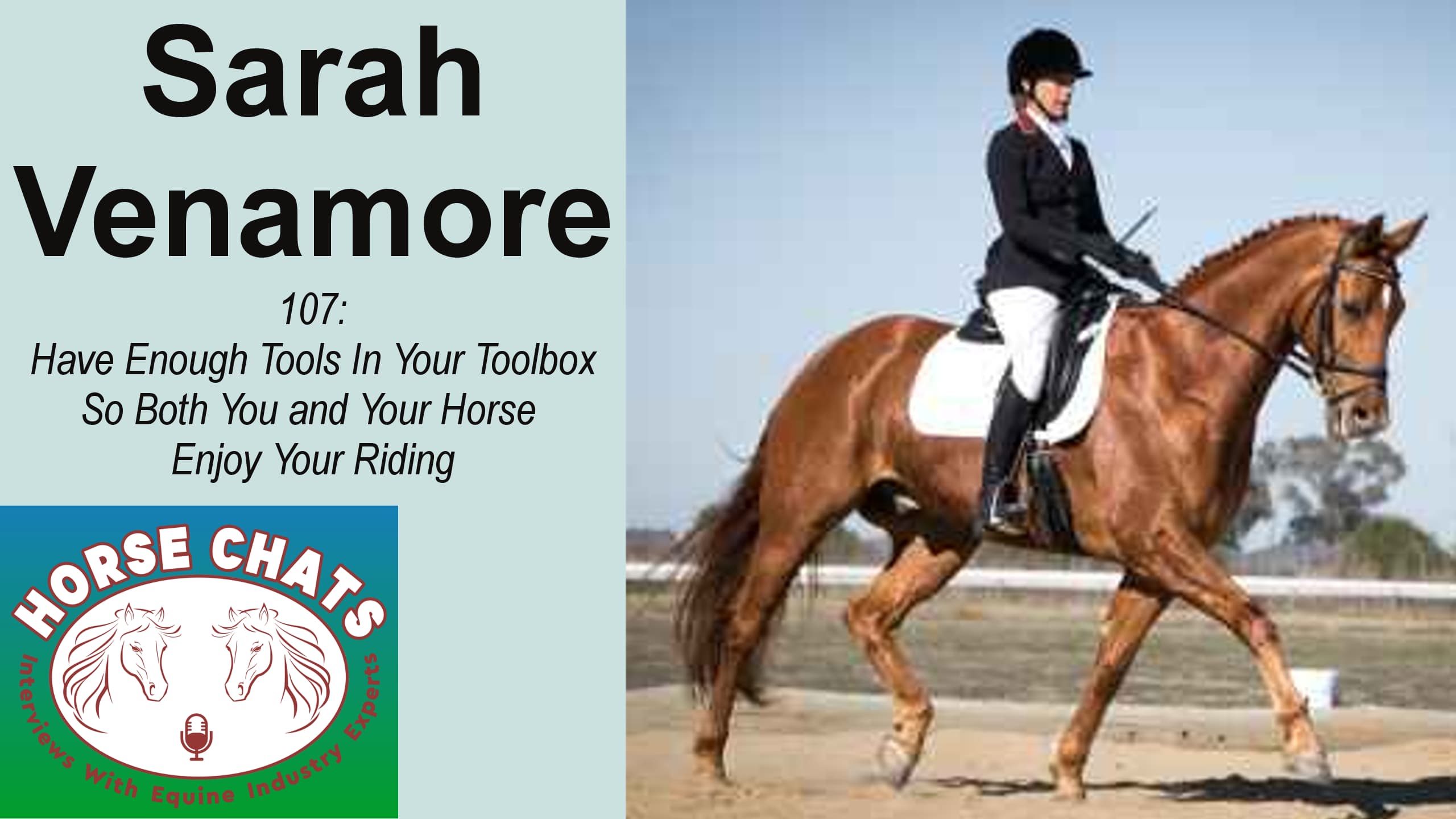 0107: Sarah Venamore - Have Enough Tools In Your Toolbox So Both You and Your Horse Enjoy Your Riding cover art
