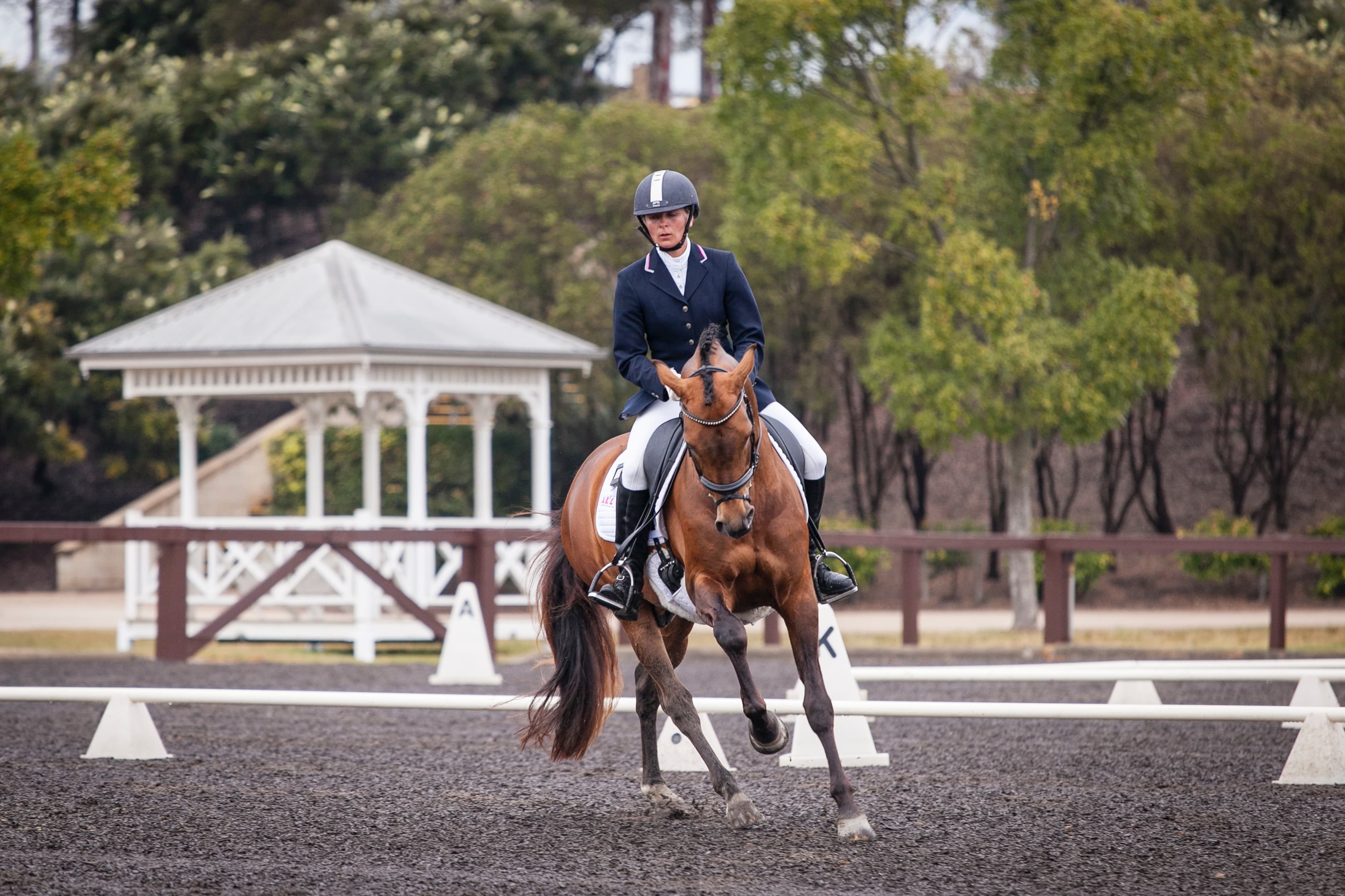 0407: Anne-Katrin Liebe LC - Achieving a Harmonic Dialog with Horses (Listeners' Choice) cover art