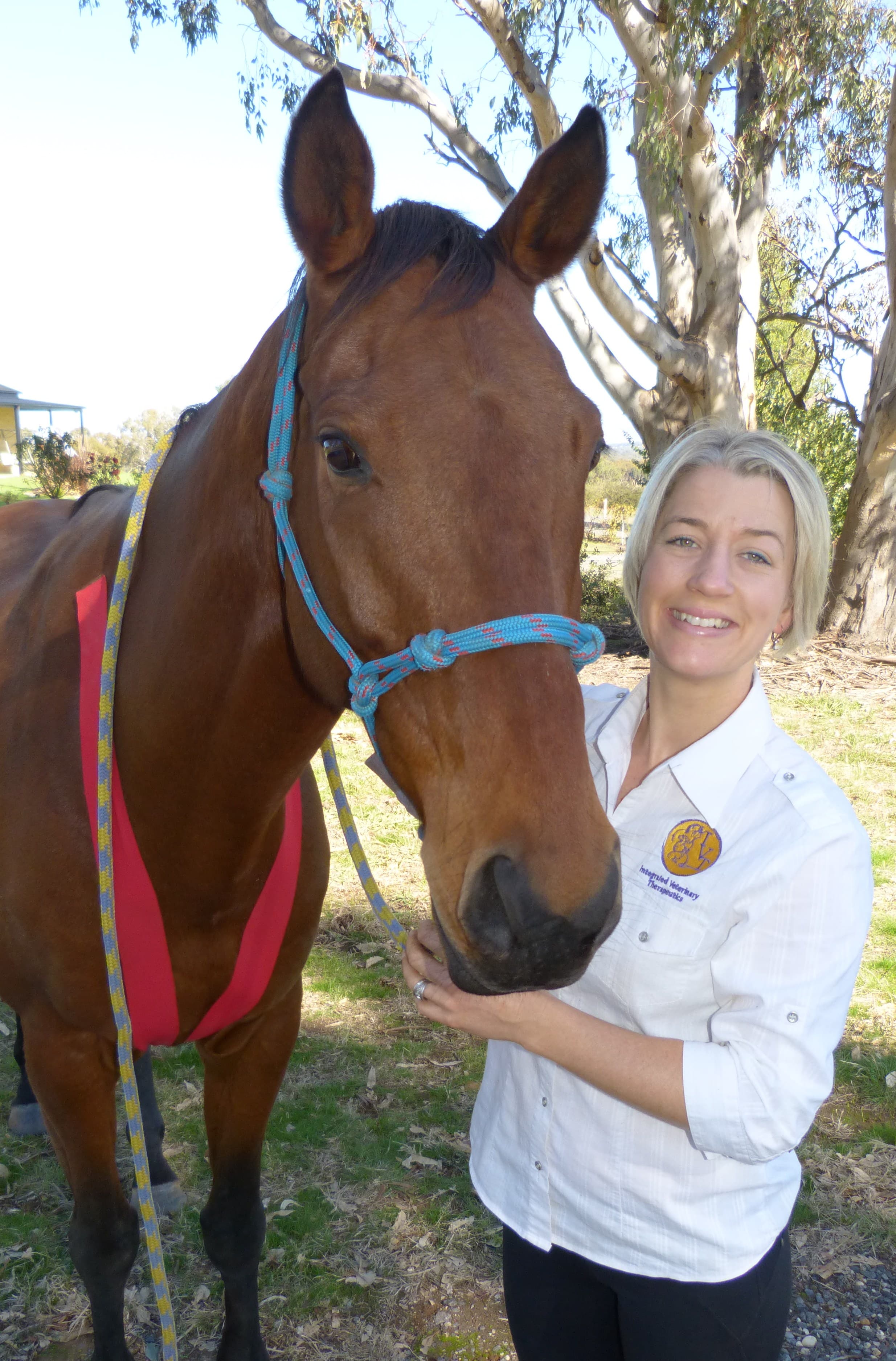 0621: Dr Raquel Butler 4 - "Ten Must Know Facts About Equine Injury Rehabilitation" cover art