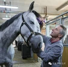 0163: Jeremy Michaels LC - It Takes Passion, Hard Work, an Open Mind and Being Open to Mistakes to Work with Horses . . . and Never Stop Learning cover art