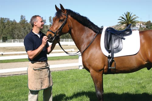 0872:  Jochen Schleese 3 LC - "Ten Points About Saddle Fitting Education" (Listeners' Choice) cover art