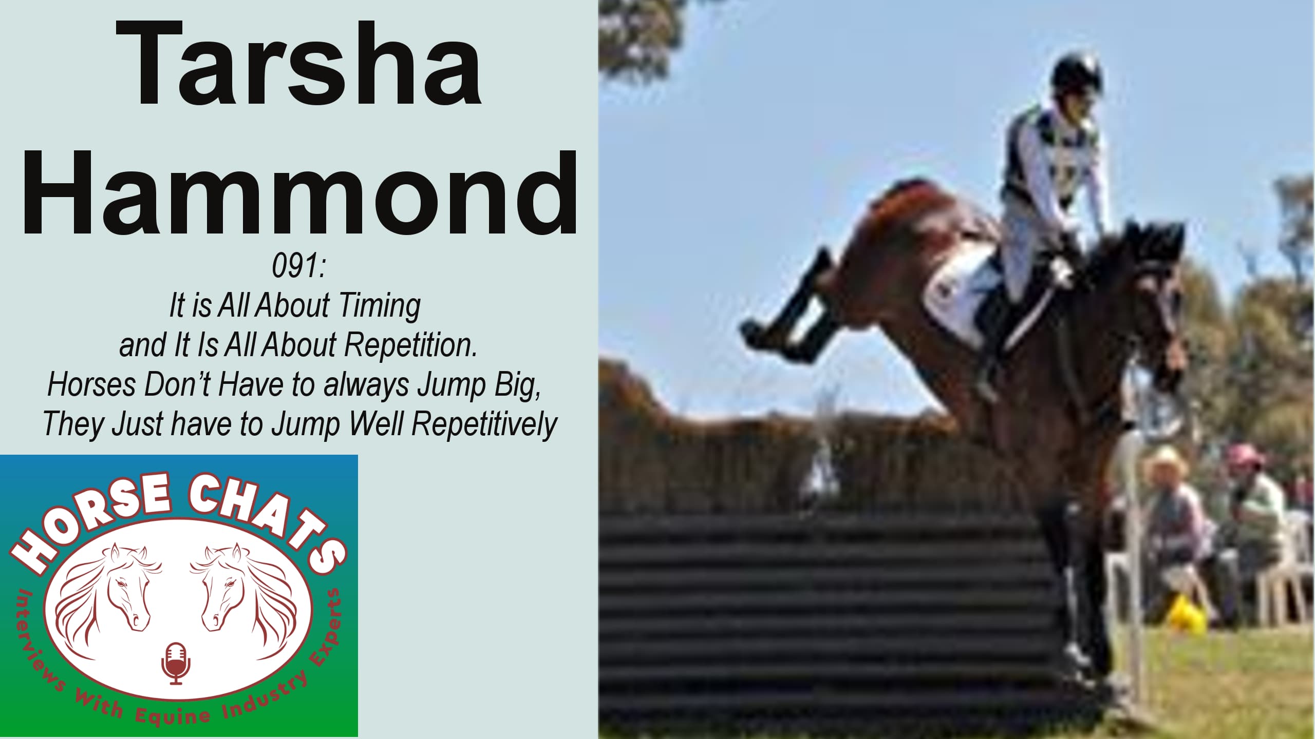 0091: Tarsha Hammond - It is All About Timing and It Is All About Repetition. Horses Don't Have to always Jump Big, They Just have to Jump Well Repetitively cover art