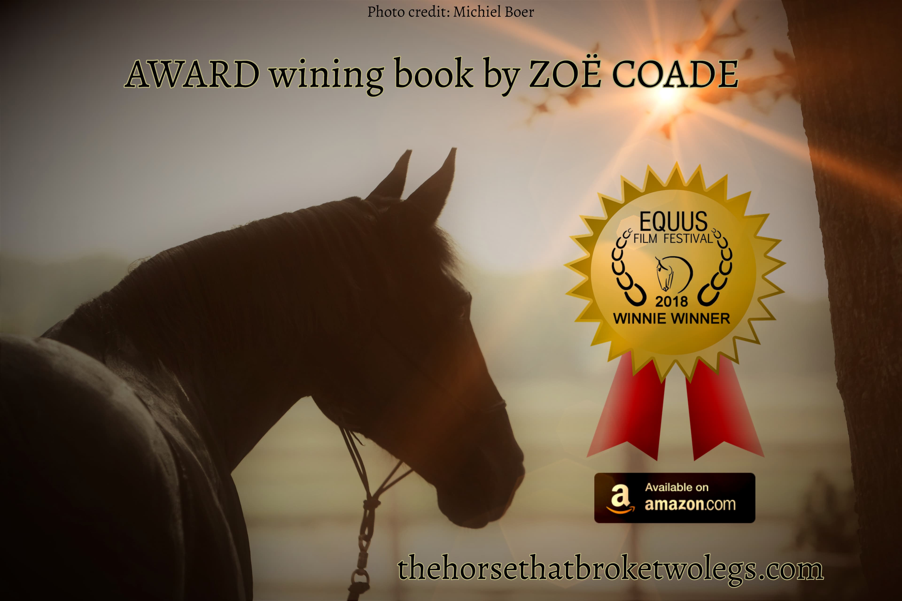 0505: Zoe Coade 2 - "Top Ten Tips for Horses in Long Term Rest" cover art