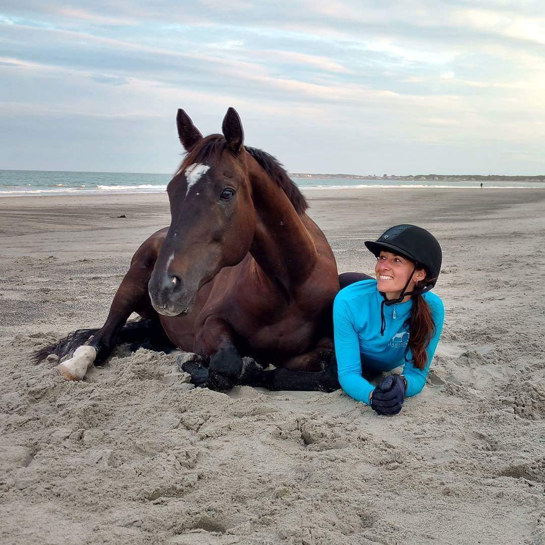 0772: Lindsey Partridge - Founder of Harmony Horsemanship cover art