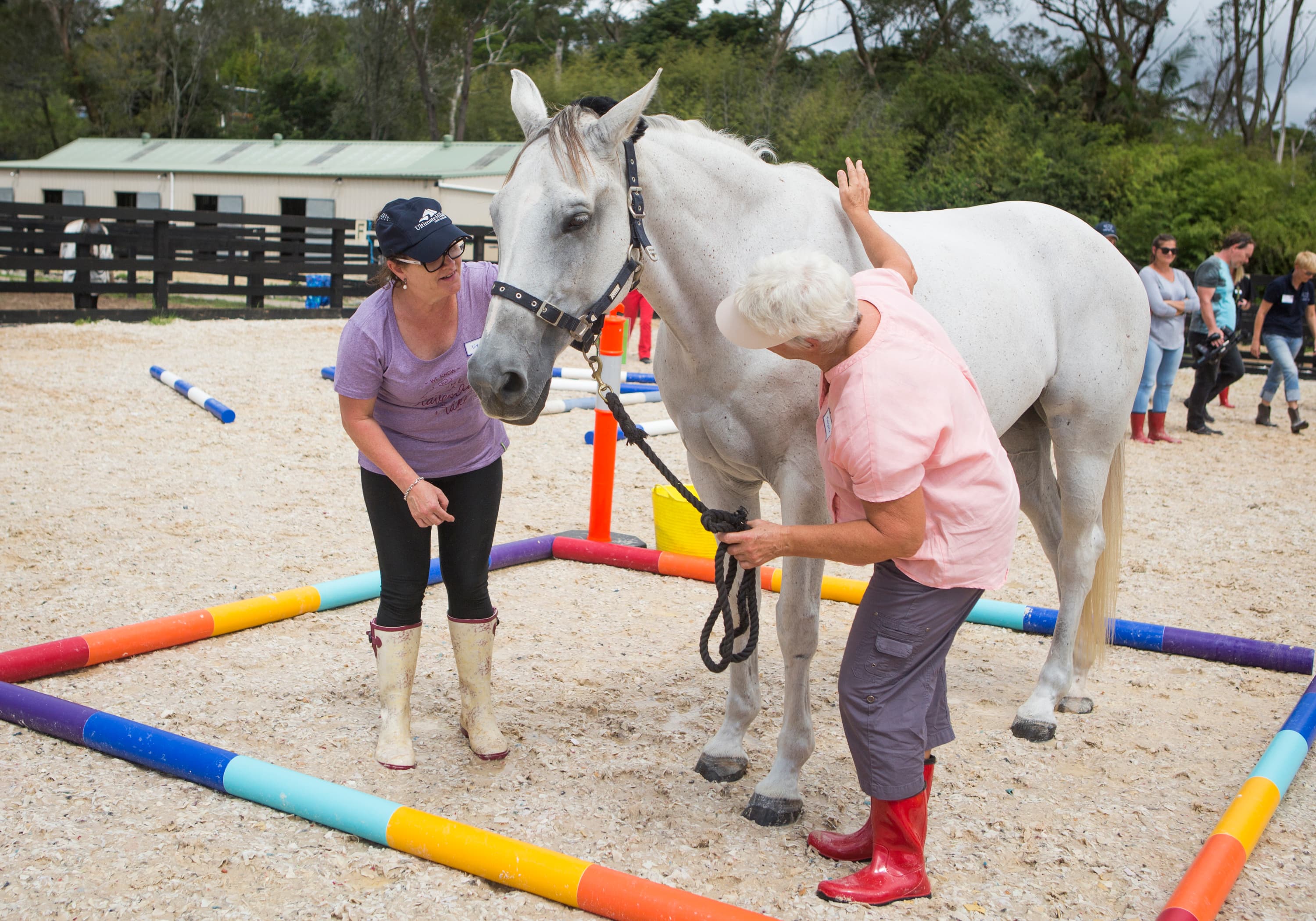 0404: Jane Hemmingway-Mohr - Developing Life Skills Through Equine Facilitated Learning cover art