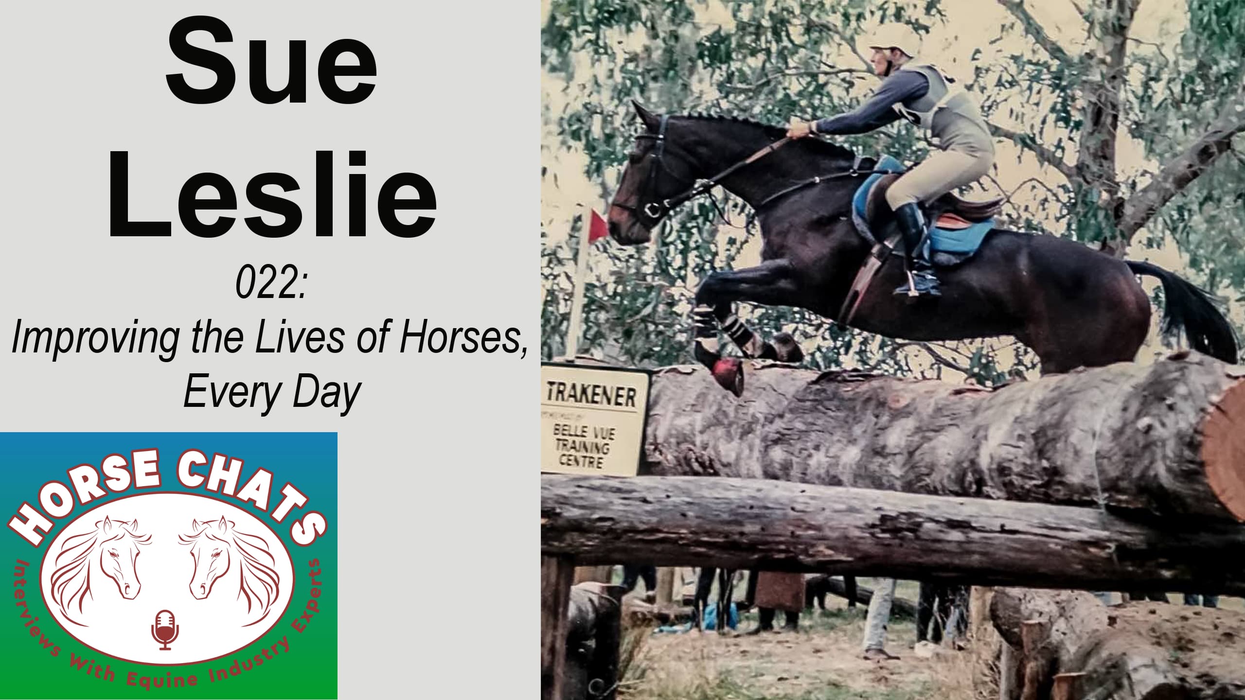 0022: Sue Leslie - Improving the Lives of Horses, Every Day cover art