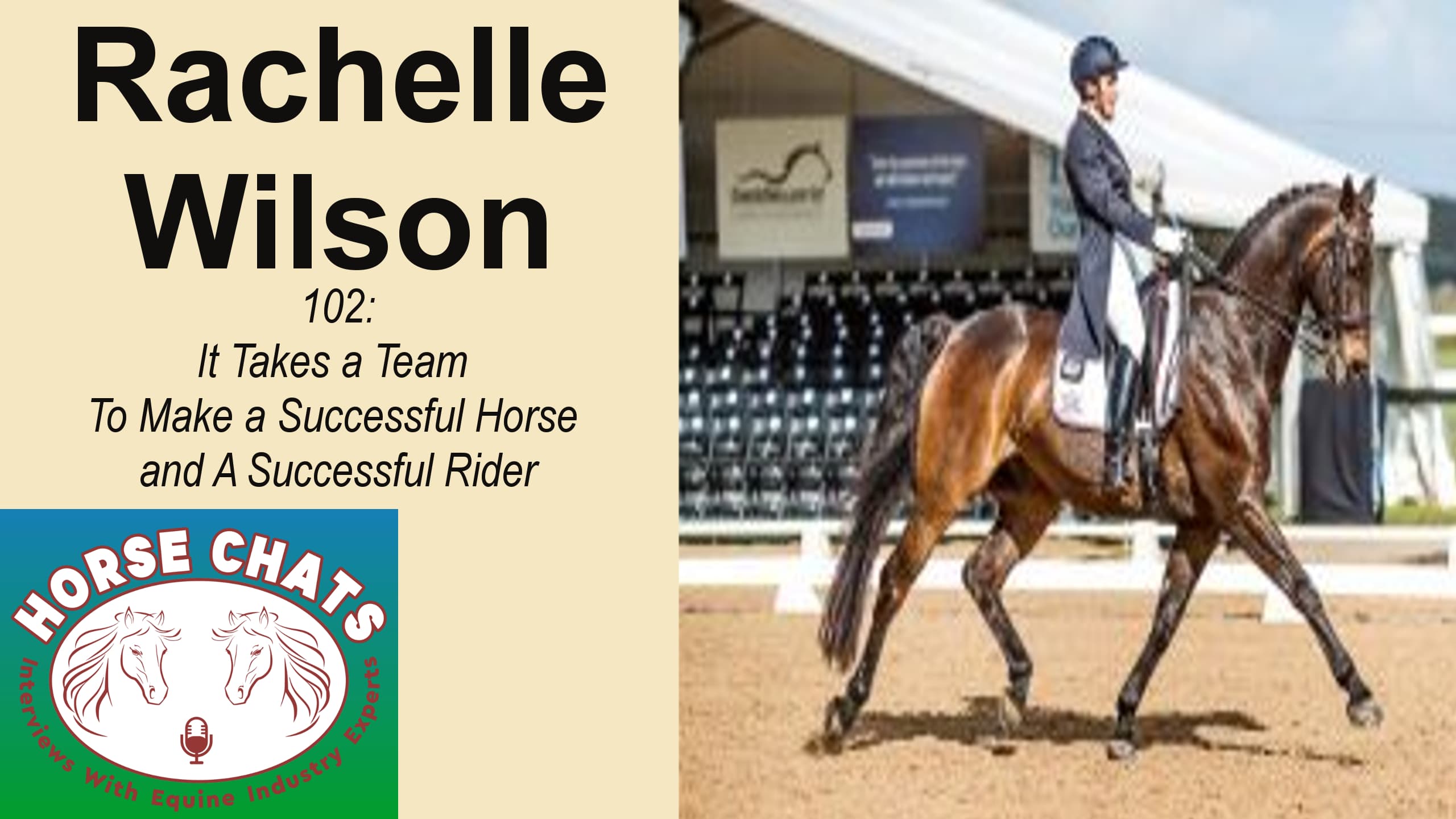 0102: Rachelle Wilson - It Takes a Team To Make a Successful Horse and A Successful Rider cover art