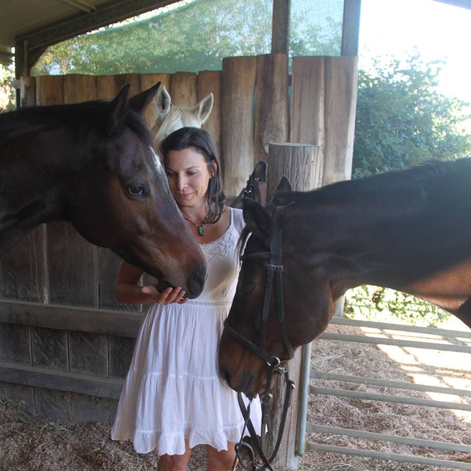 0732: Lisa Podosin 3 - "Ten Themes to Practice Becoming The Human of Your Horses' Dreams" cover art