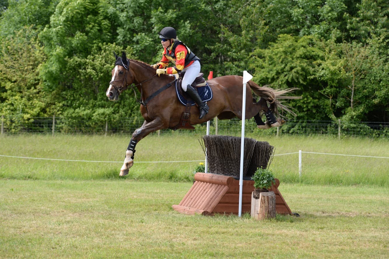 0173: Wendy Schaeffer - Youngest Female to Win Olympic Gold Medal in Equestrian Three Day Event cover art