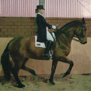 0169: Christine Doan LC - Using 'Wholism' to achieve the Olympics Dream cover art