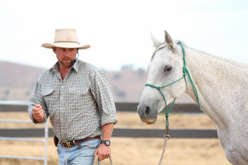 0410: Mark Langley - Considering How The Horse Feels For Calm and Connected Horsemanship cover art