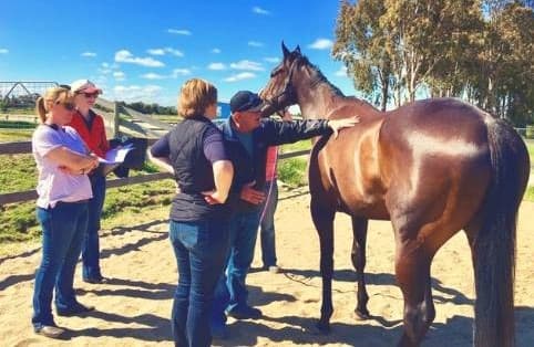 0424: Animal Bio-mechanical Medicine - Veterinary, Chiropractic and Osteopathic Professionals cover art