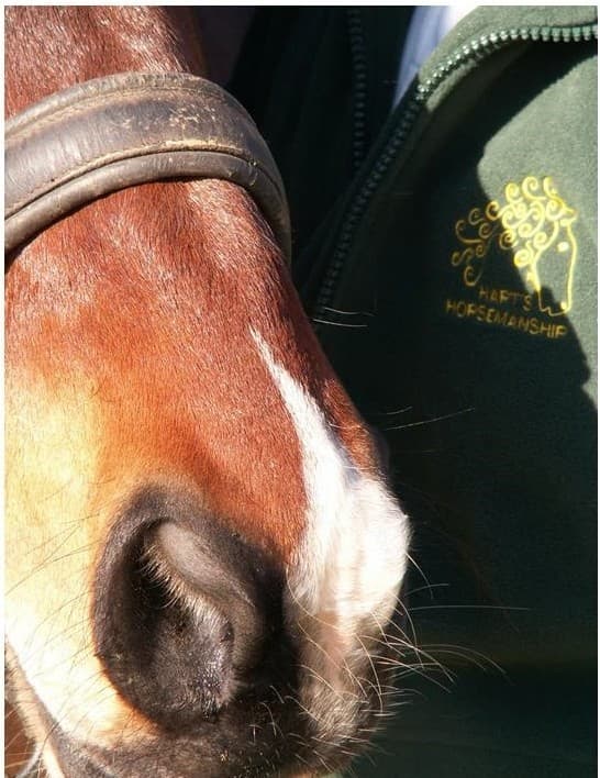 0657: Ben Hart 2 - "Ten Steps to Working with Equine Behaviour" cover art