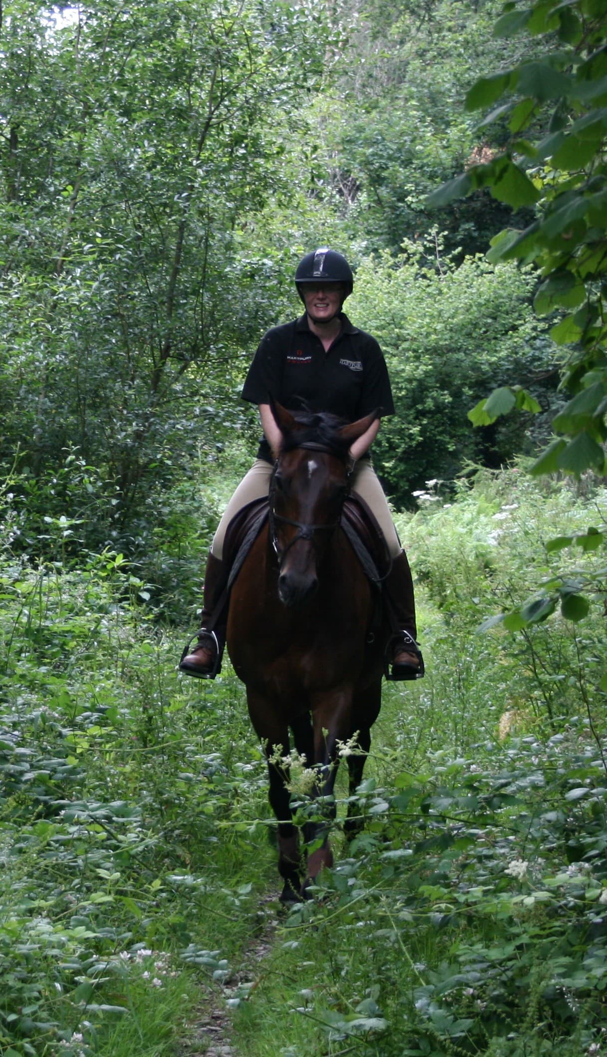 0746: Dr Jane Williams LC - Evaluating Demands on Competition Horses to Ensure Equine Health, Welfare, Performance and Career Longevity (Listeners' Choice) cover art